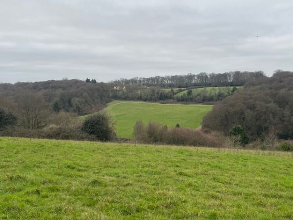 View from Denner Hill